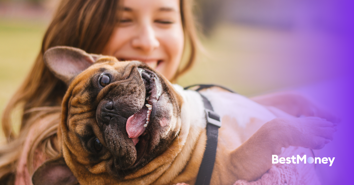 How Age Affects Pet Insurance Premiums - bestmoney.ca