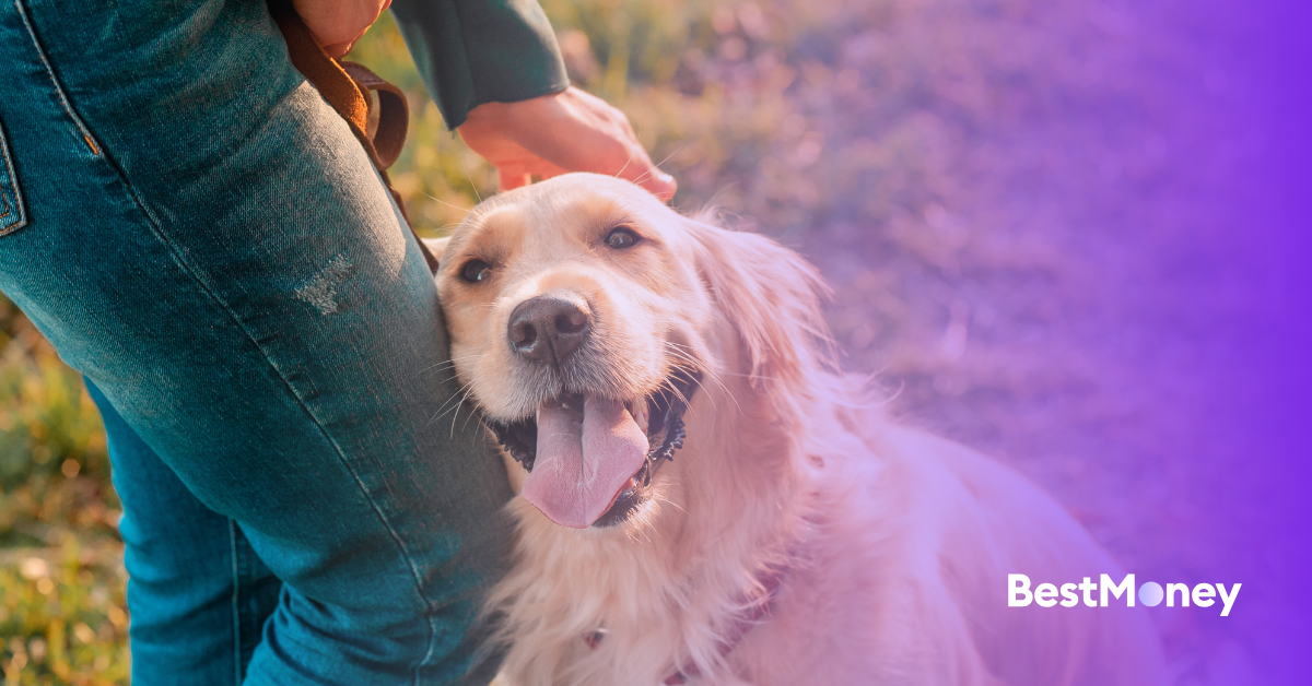 How to Cancel a Pet Insurance Policy